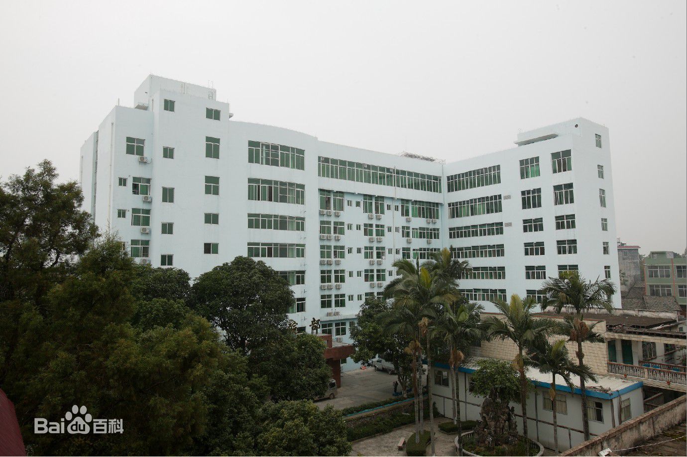 贵港市第二人民医院VI体系设计和规范应用咨询项目正式启动